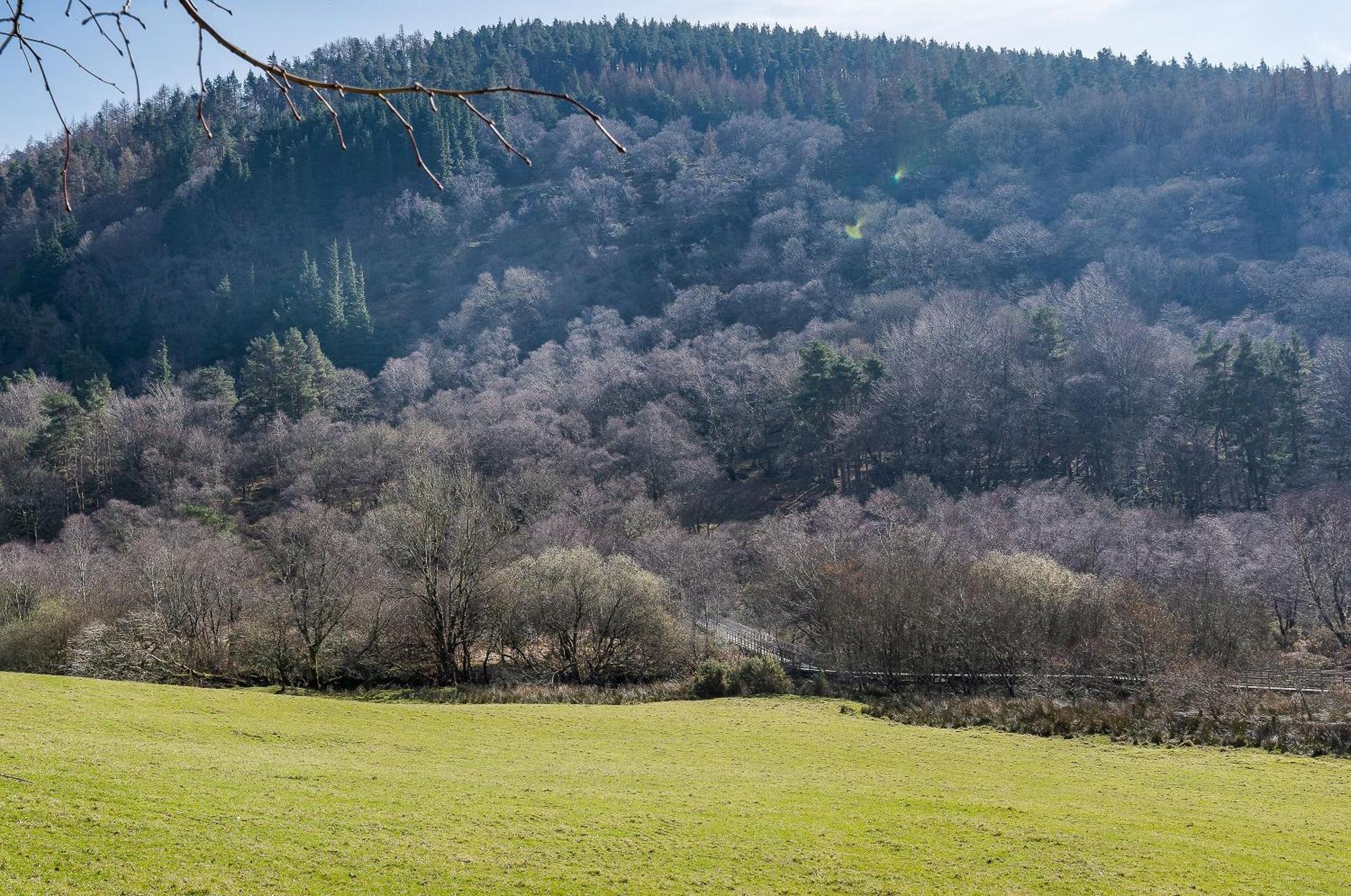 Glendalough International Youth Hostel Laragh Exterior foto